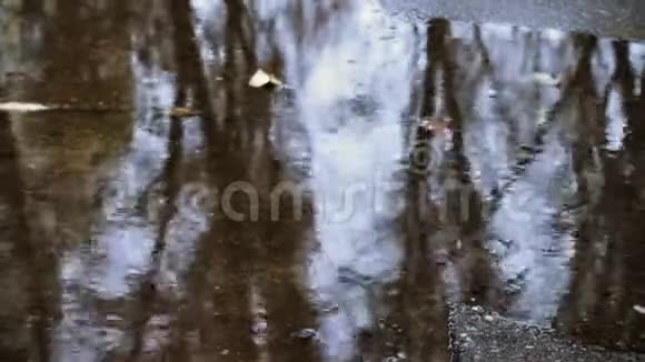 雨水滴在水坑里视频的预览图