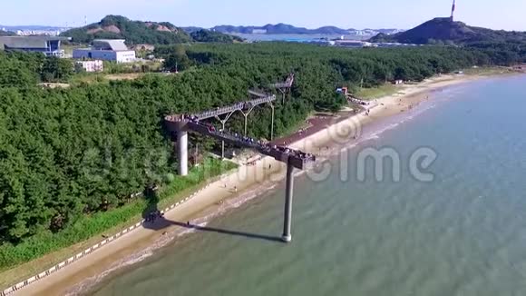 韩国亚洲中昌南都张江松林山森林度假村的空中步道视频的预览图