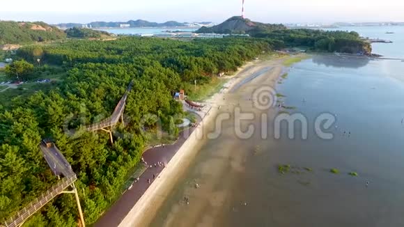 韩国亚洲中昌南都张江松林山森林度假村的空中步道视频的预览图