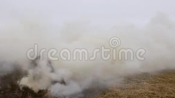 燃烧和燃烧干草堆视频的预览图