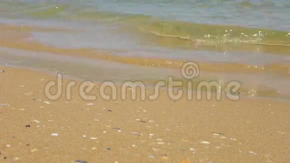 在阳光明媚的夏日沙滩上浪视频的预览图