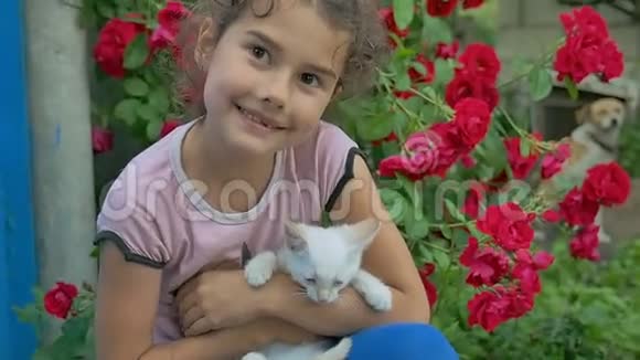 布鲁内特少女抱着小猫抱着小猫爱在户外视频的预览图