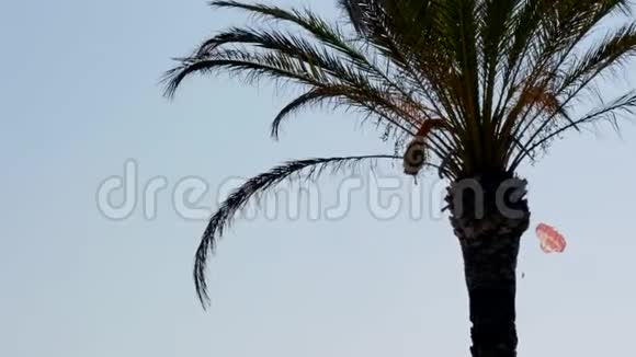 地中海有棕榈树的海滩视频的预览图