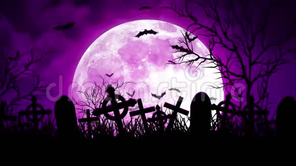 月亮在紫天公墓视频的预览图