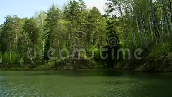 一个被森林包围的干净的湖视频的预览图