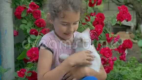布鲁内特女孩抱着一只小猫她的猫怀里爱户外视频的预览图