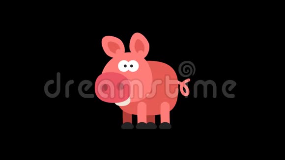 猪搞笑动物角色中国园艺视频的预览图