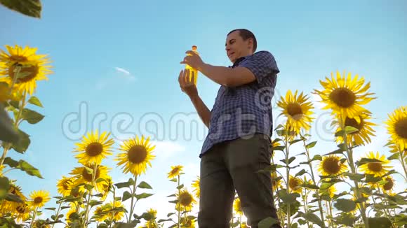 农夫穿着格子衬衫手里拿着一个塑料瓶向日葵油站在田野里慢动作视频的预览图