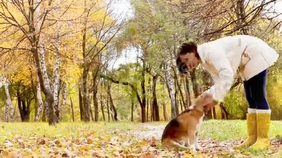 秋日公园里有狗最好朋友的女孩视频的预览图