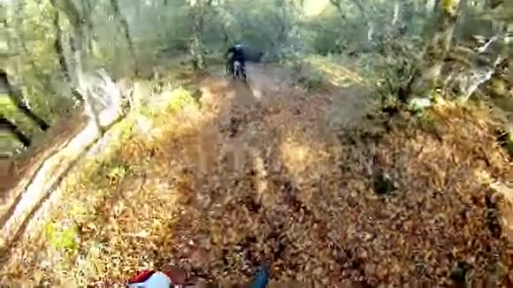 在森林的极端地形上骑自行车视频的预览图