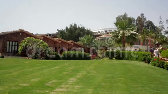 酒店背景上有棕榈树的绿色草坪视频的预览图
