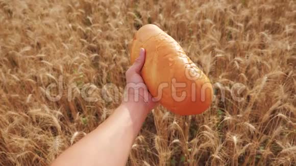 农夫持面包第一人称观人在麦田里拿着一条面包慢动作视频成功的生活方式视频的预览图