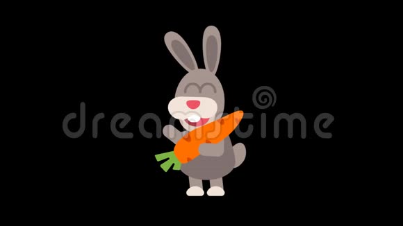 兔子搞笑动物角色中国园艺视频的预览图