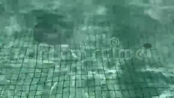 荡漾的水视频的预览图