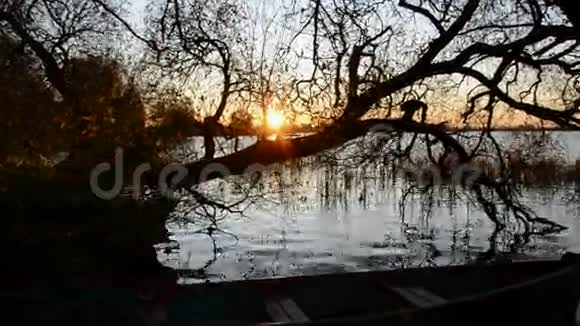 秋日黄昏夕阳和湖树视频的预览图
