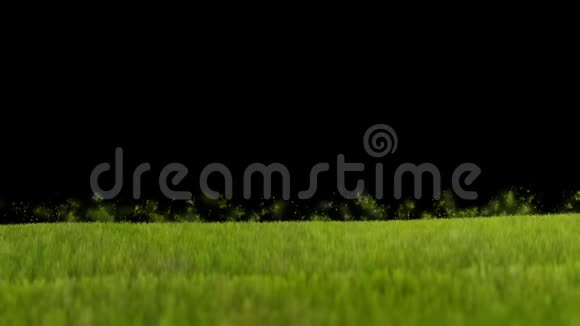 草在风中吹粒子在飞视频的预览图