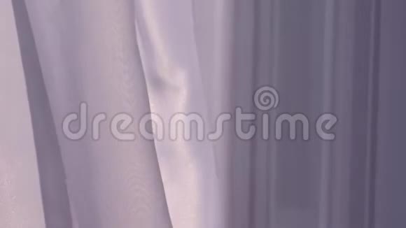 窗户上窗帘的背景视频的预览图