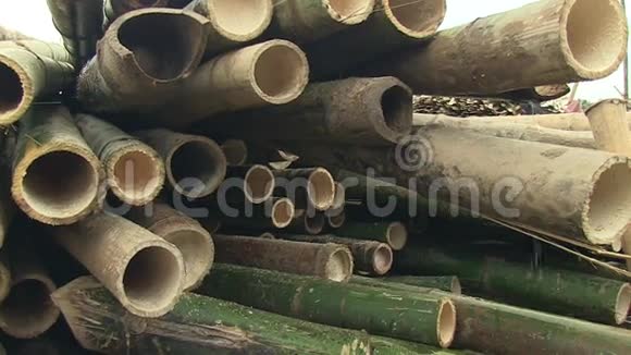 竹子切割柬埔寨东南亚视频的预览图