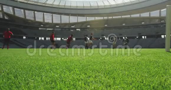 橄榄球运动员在4k体育场进行橄榄球比赛视频的预览图