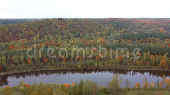 秋色高加河的空中景观四周环绕着五彩缤纷的黄橙绿森林视频的预览图