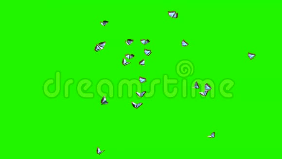 蝴蝶大群绿屏视频的预览图