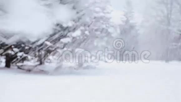 快乐的朋友在冬天玩雪视频的预览图