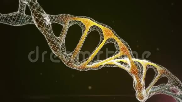 PNGDNA与其连接的网络旋转DNA视频的预览图