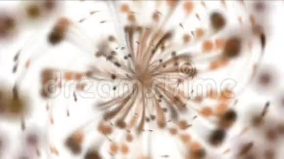 气泡水泡颗粒背景烟花爆炸点尘烟视频的预览图