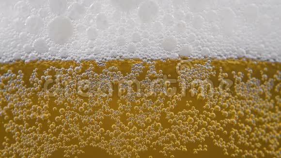 带气泡的玻璃中的金瓶啤酒视频的预览图