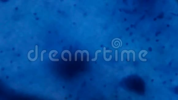 显微镜下的神经细胞白色ba上的抽象蓝点视频的预览图