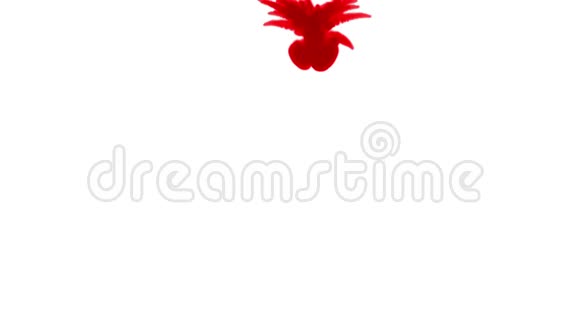 红墨水在白色背景上溶解在水中用Luma哑光计算机仿真的三维渲染油墨视频的预览图