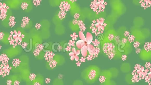 在绿色背景上飞舞的粉红色花朵波克灯反射动画标题你好春天美丽美丽视频的预览图