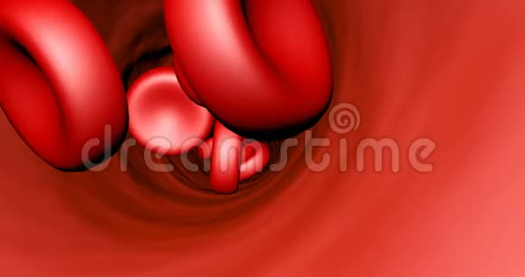 动脉血小板中的红细胞视频的预览图