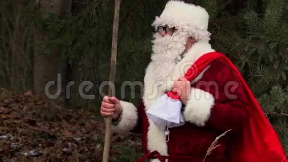 圣诞老人和寒冷的森林之手视频的预览图