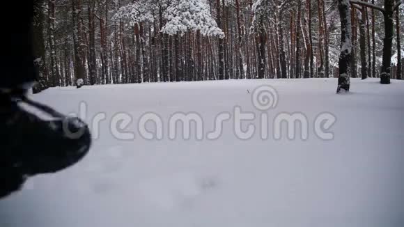 在雪日漫步在冬林的深雪中慢动作视频的预览图