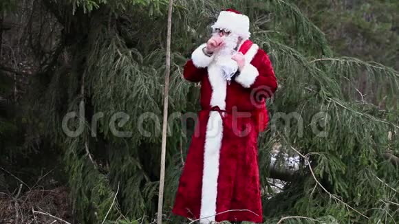 圣诞老人带着冰冷的双手靠近树林中的云杉视频的预览图