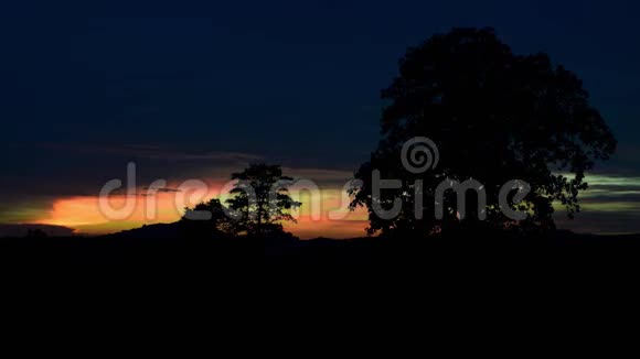 曼迪亚克种植园的日落和大树视频的预览图