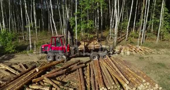 木材装载将原木装入卡车木材加工砍伐森林用爪装载木材视频的预览图