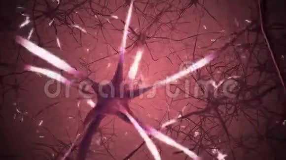 大脑中的神经元神经网络3D循环动画视频的预览图