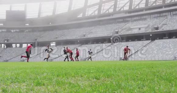 橄榄球运动员在4k体育场进行橄榄球比赛视频的预览图