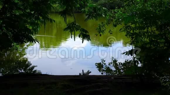 大自然中的绿色湖水视频的预览图