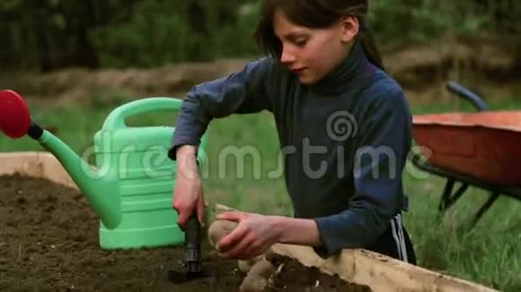 在花园的床上的白人男孩孩子从事春季种植视频的预览图