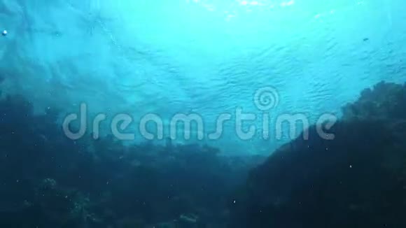 珊瑚礁上空的海浪视频的预览图
