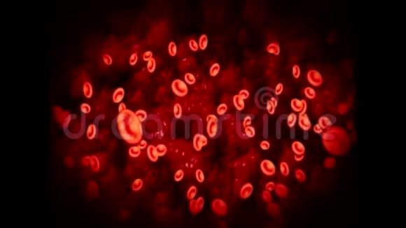 红细胞流动视频的预览图