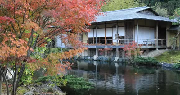 日本静冈公园秋天的日本传统花园视频的预览图
