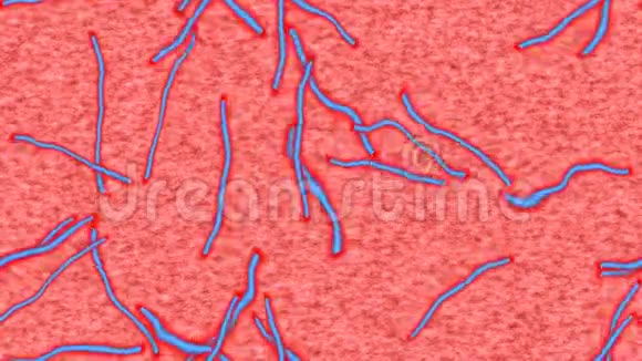 埃博拉病毒产生的无缝循环视频视频的预览图