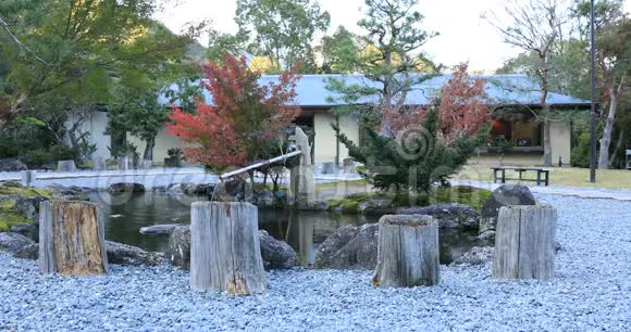 日本静冈公园秋天的日本传统花园视频的预览图