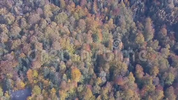 亚雷米切附近喀尔巴阡山脉秋季鸟瞰图视频的预览图