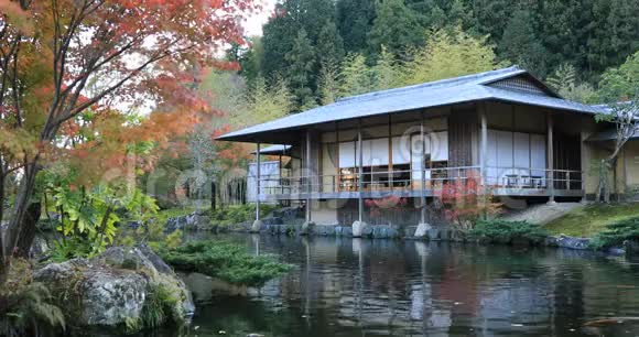 日本静冈公园秋天的日本传统花园视频的预览图