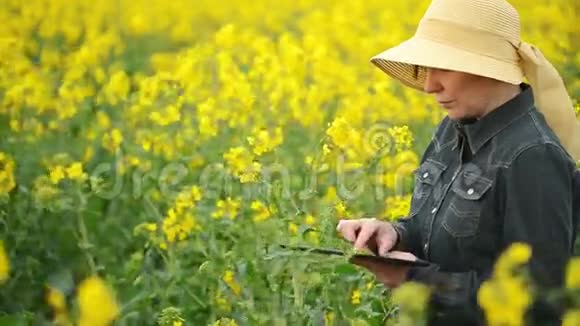 用数字平板电脑检测油菜栽培农业田间发育的女性农民视频的预览图
